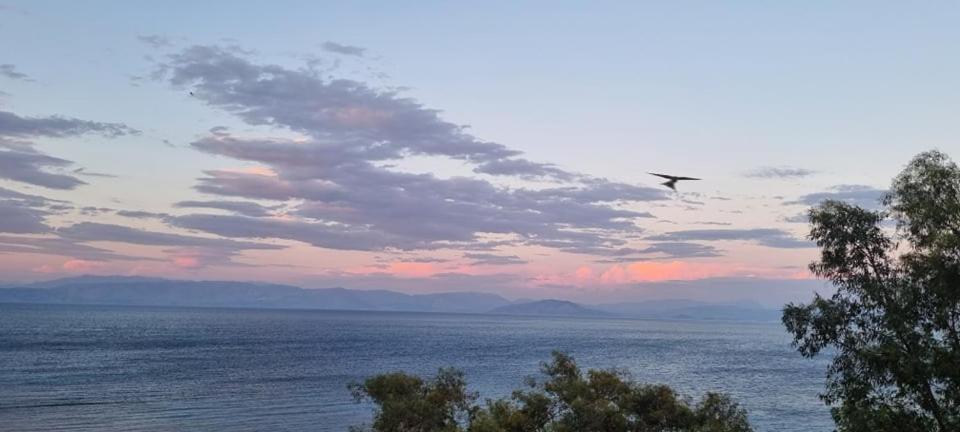 Ionian Mare Aparthotel Agios Ioannis Peristeron  Bagian luar foto